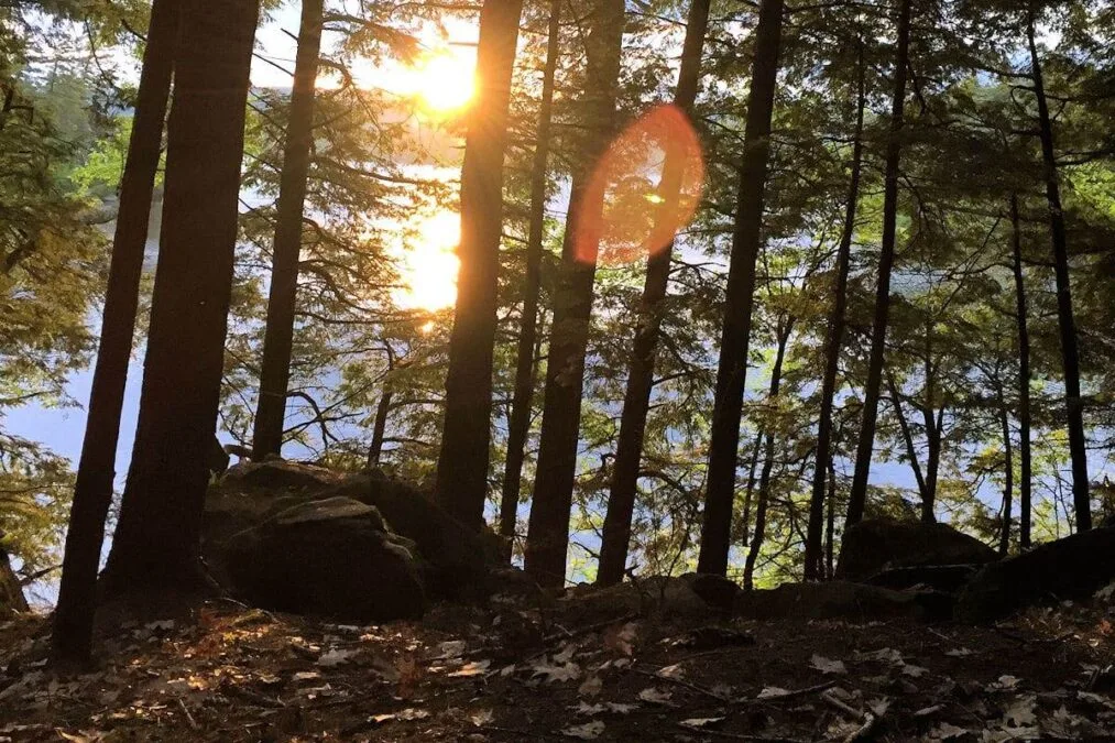sunset peeking through the trees at a state park in new hampshire