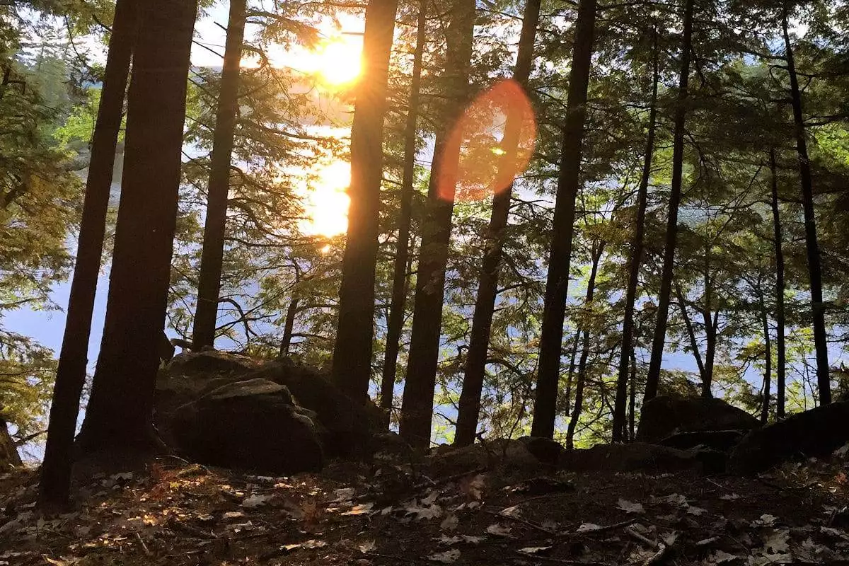sunset peeking through the trees at a state park in new hampshire
