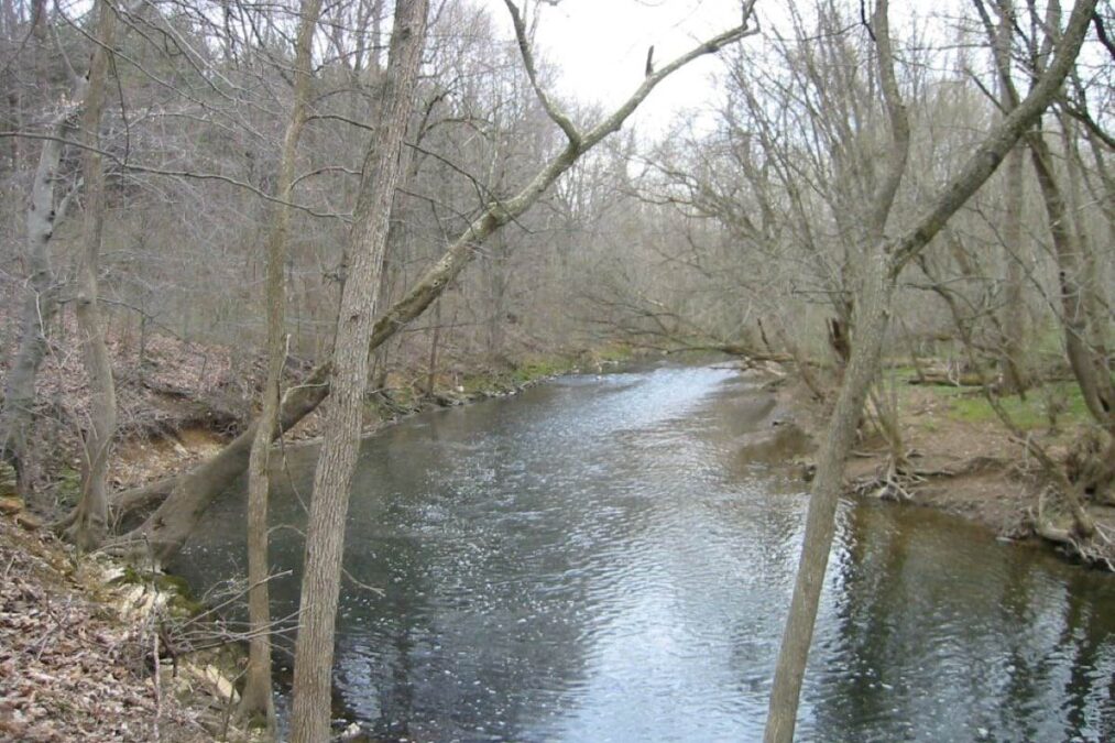 Wissahickon Creek at Fort Washington State Park, Montgomery County, Pennsylvania
