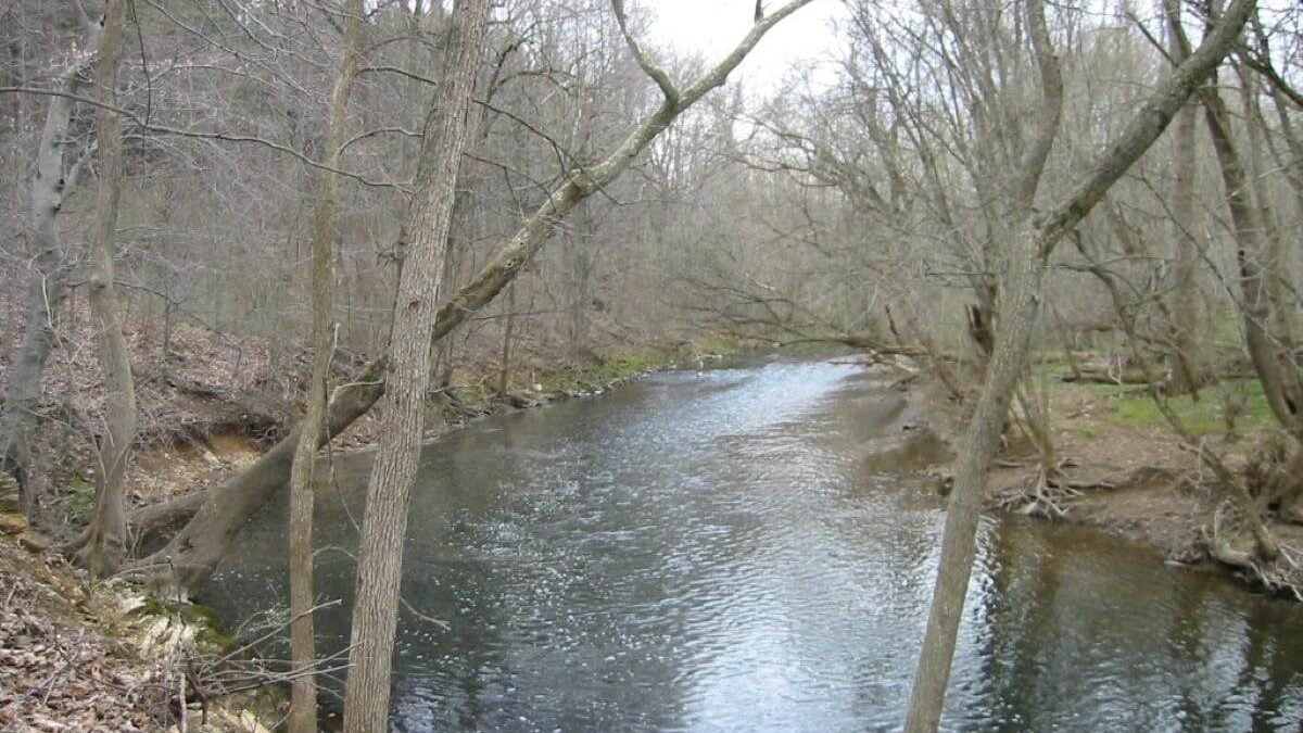 Wissahickon Creek at Fort Washington State Park, Montgomery County, Pennsylvania