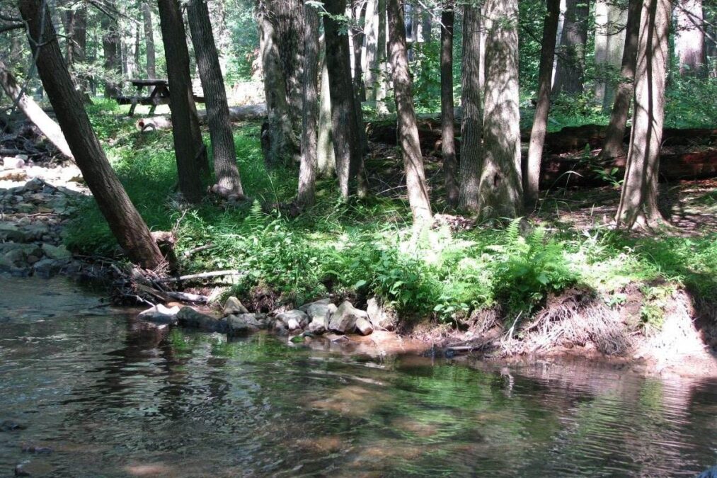 Fowler Hollow Run at Fowlers Hollow State Park
