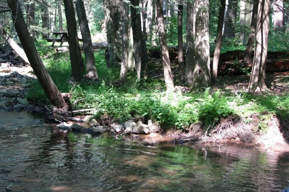 Fowlers Hollow State Park 37 Fowler Hollow Run at Fowlers Hollow State Park