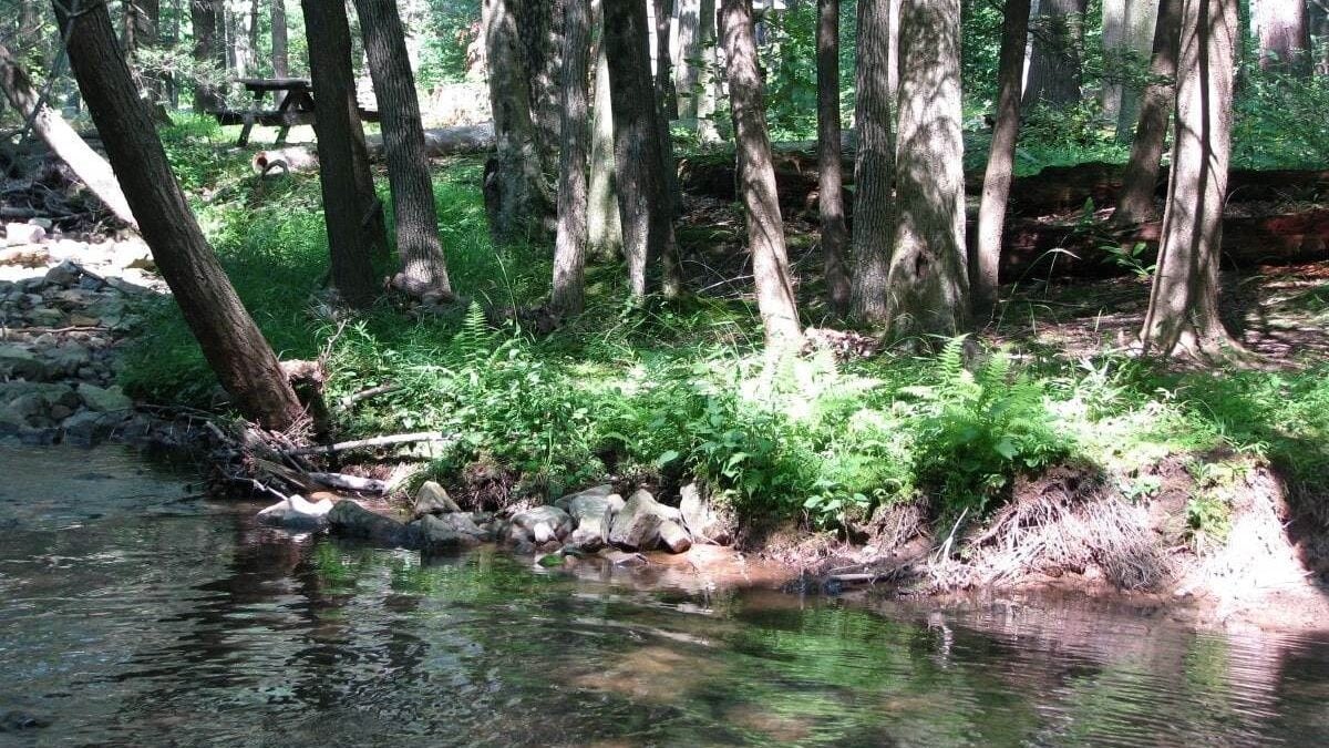 Fowler Hollow Run at Fowlers Hollow State Park