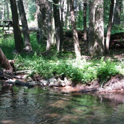Fowlers Hollow State Park