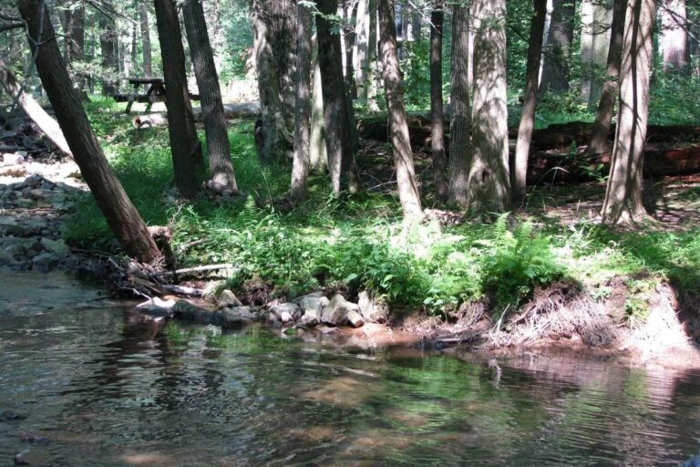 Fowlers Hollow State Park