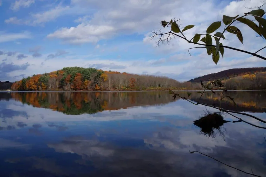 Frances Slocum State Park 38 trees reflecting in the lake at Frances Slocum State Park