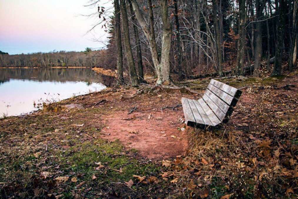 bench overlooking the water at French Creek State Park