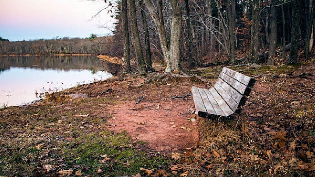 bench overlooking the water at French Creek State Park