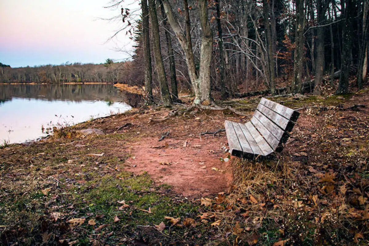 French Creek State Park