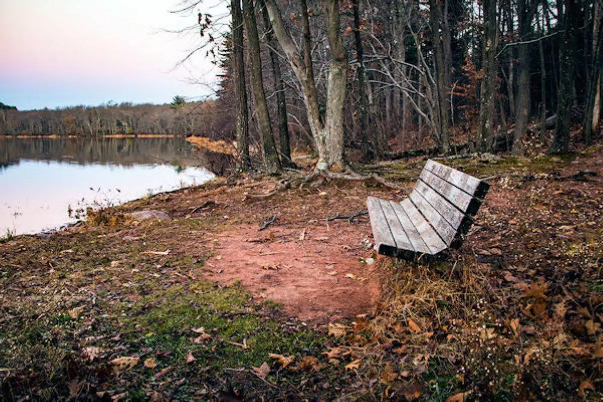 bench overlooking the water at French Creek State Park