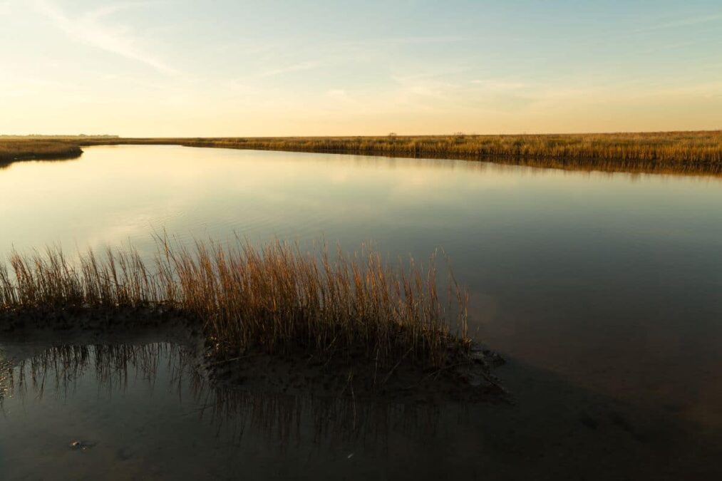 Light of Setting Sun over Estuary Pool in Galveston Island State Park wetlands