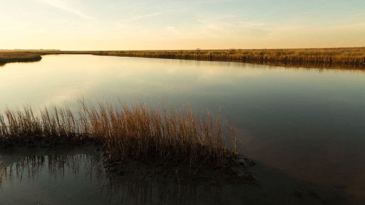 Light of Setting Sun over Estuary Pool in Galveston Island State Park wetlands