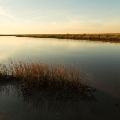 Galveston Island State Park