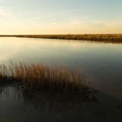 Galveston Island State Park