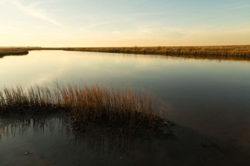 Galveston Island State Park