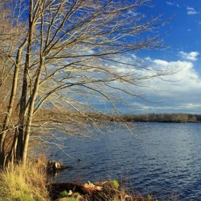 Gouldsboro State Park