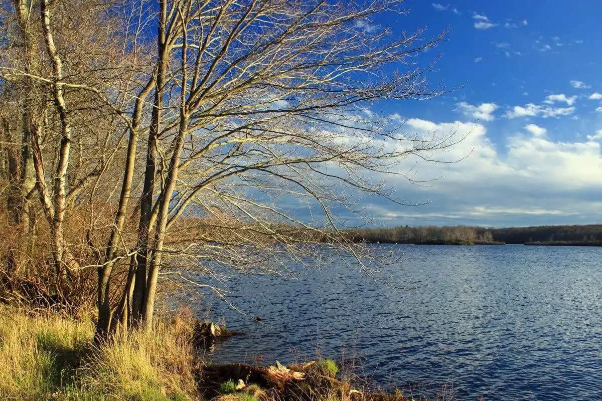 Gouldsboro Lake at Gouldsboro State Park