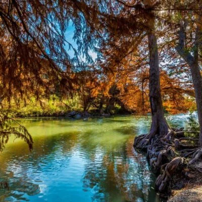 Guadalupe River State Park