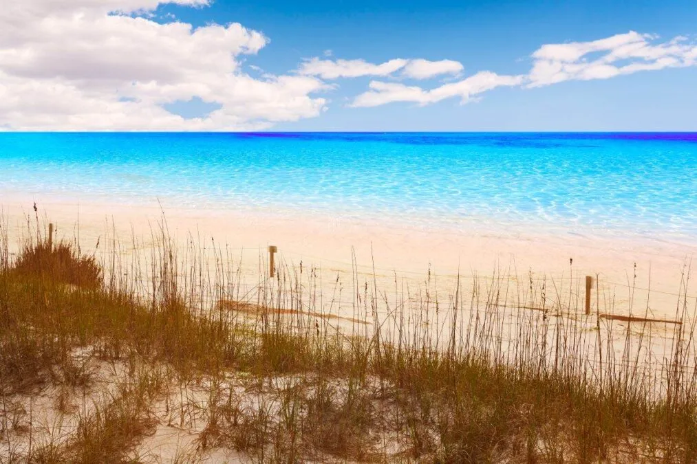 Destin beach in Florida at Henderson State Park