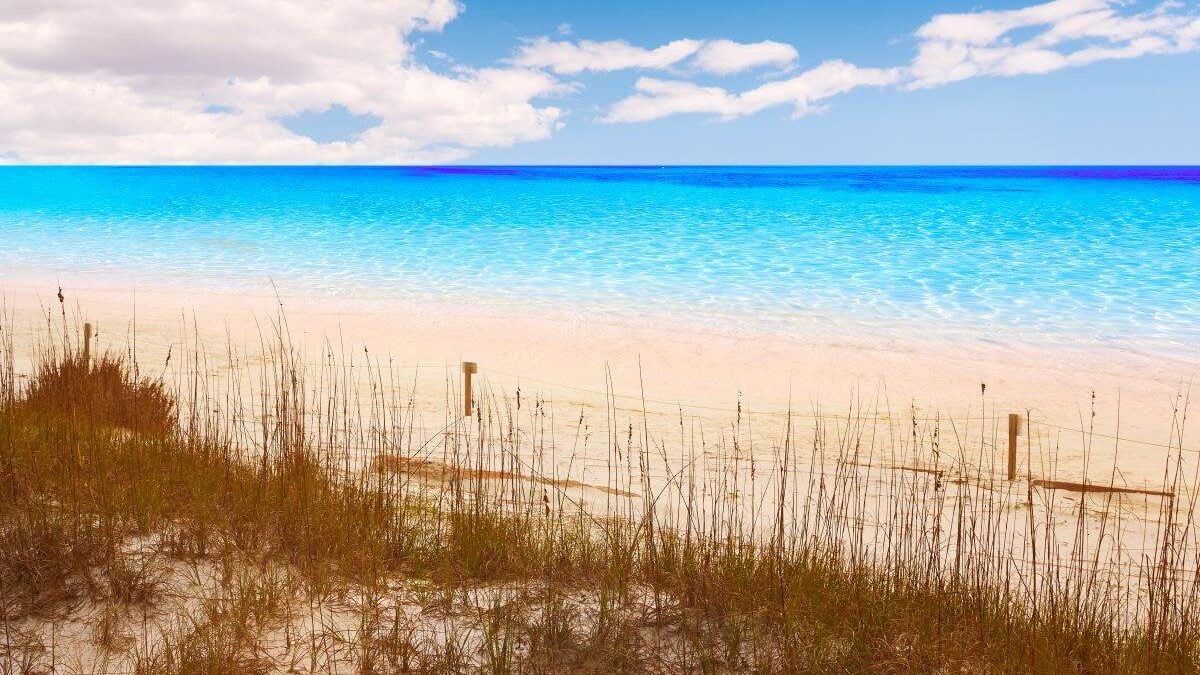 Destin beach in Florida at Henderson State Park