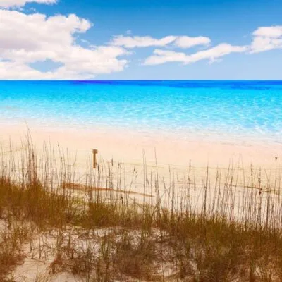 Henderson Beach State Park