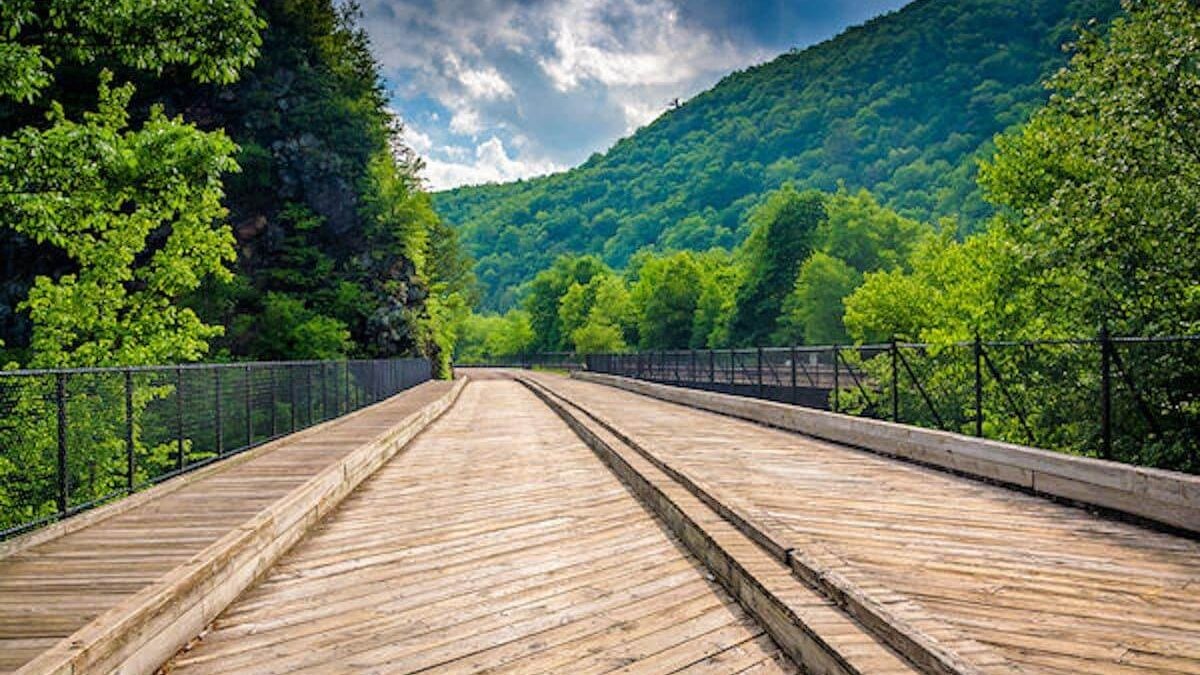 bike trail at Lehigh Gorge State Park
