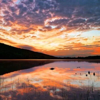 Locust Lake State Park