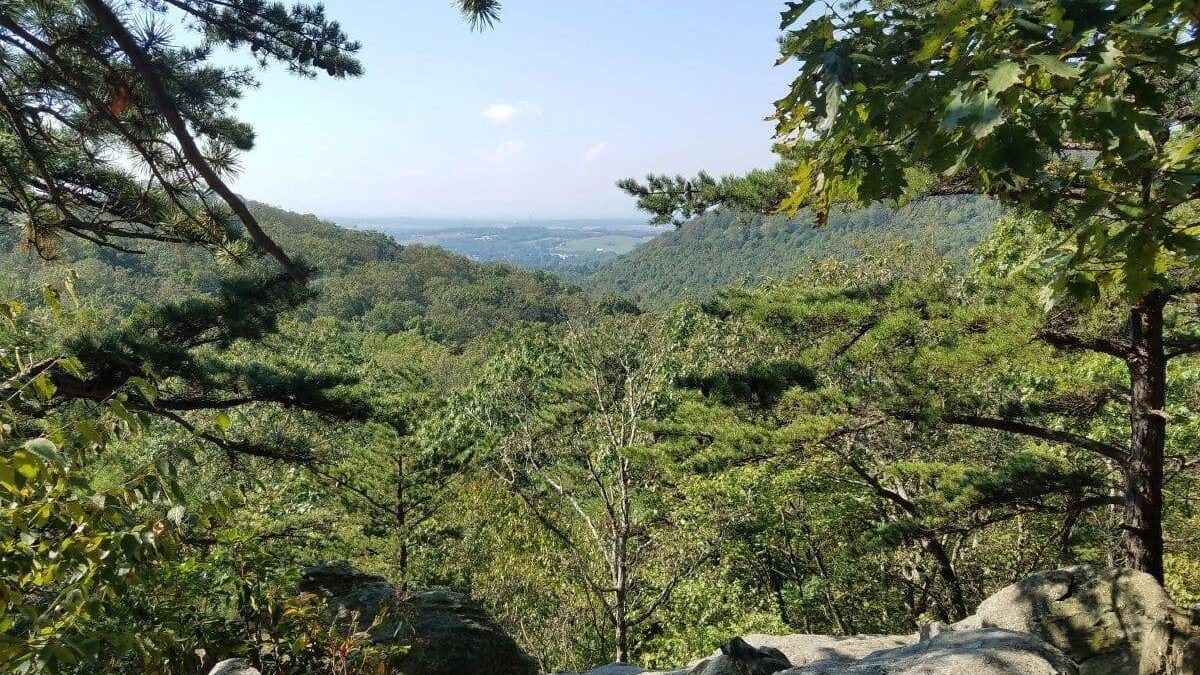 a view of the valley below from Mont Alto State Park