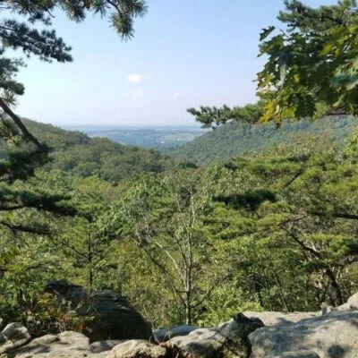 Mont Alto State Park