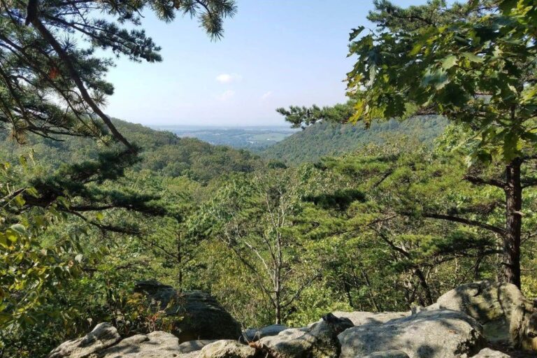 Mont Alto State Park