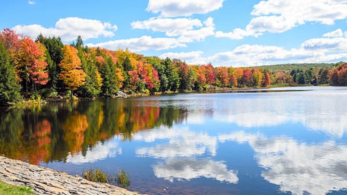 reflection of the trees in the water at Parker Dam State Park