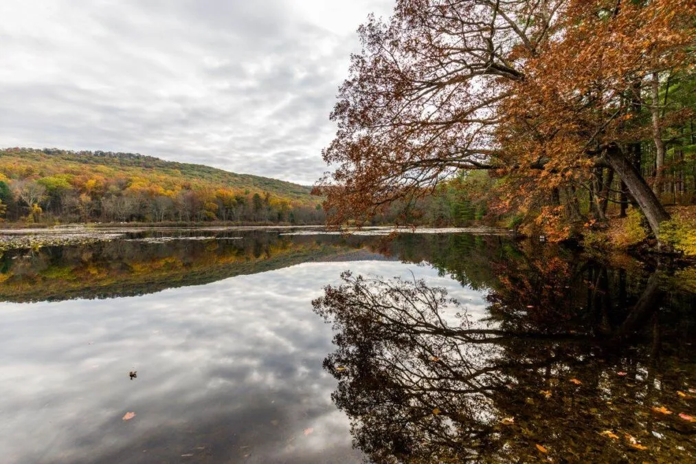 Pine Grove Furnace State Park 96 Laurel Lake Recreational Area in Pine Grove Furnace State Park in Pennsylvania during fall