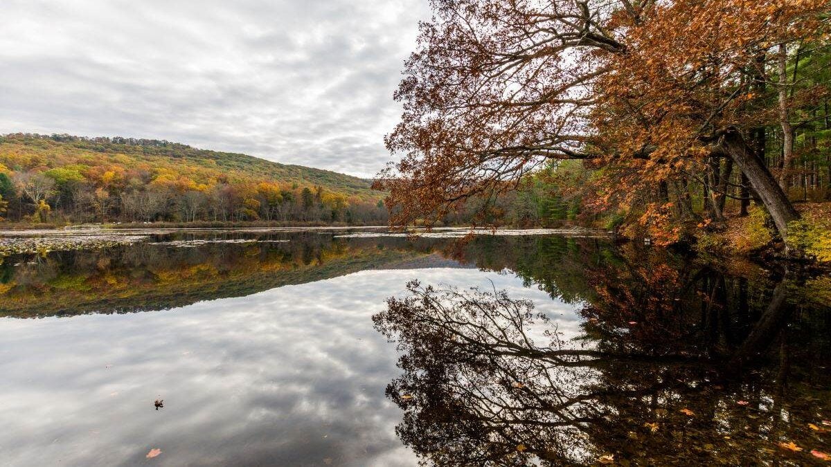Laurel Lake Recreational Area in Pine Grove Furnace State Park in Pennsylvania during fall