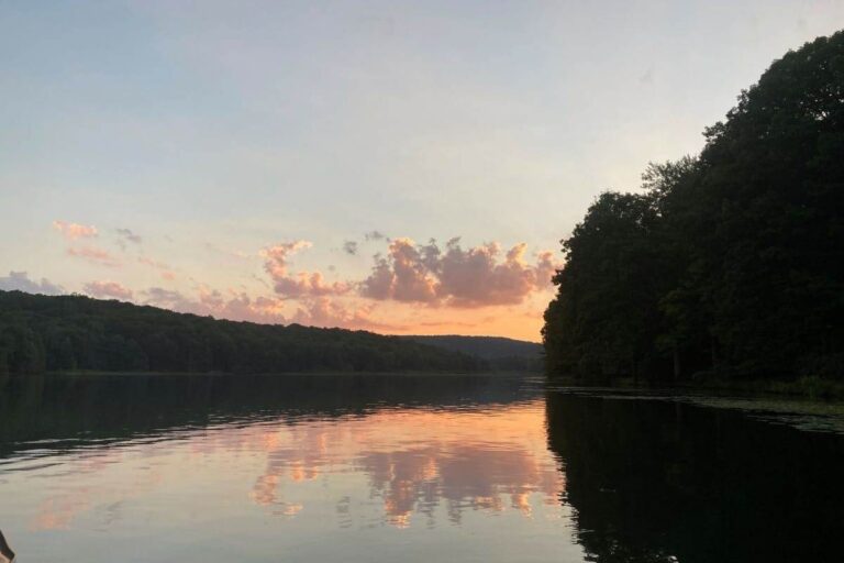 Prince Gallitzin State Park