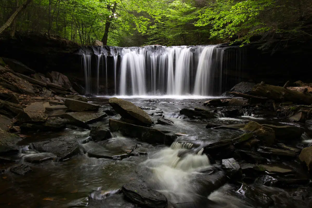 waterfall in a state park near bloomsburg pennsylvania