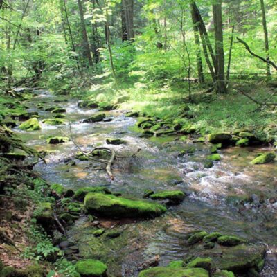 Sinnemahoning State Park
