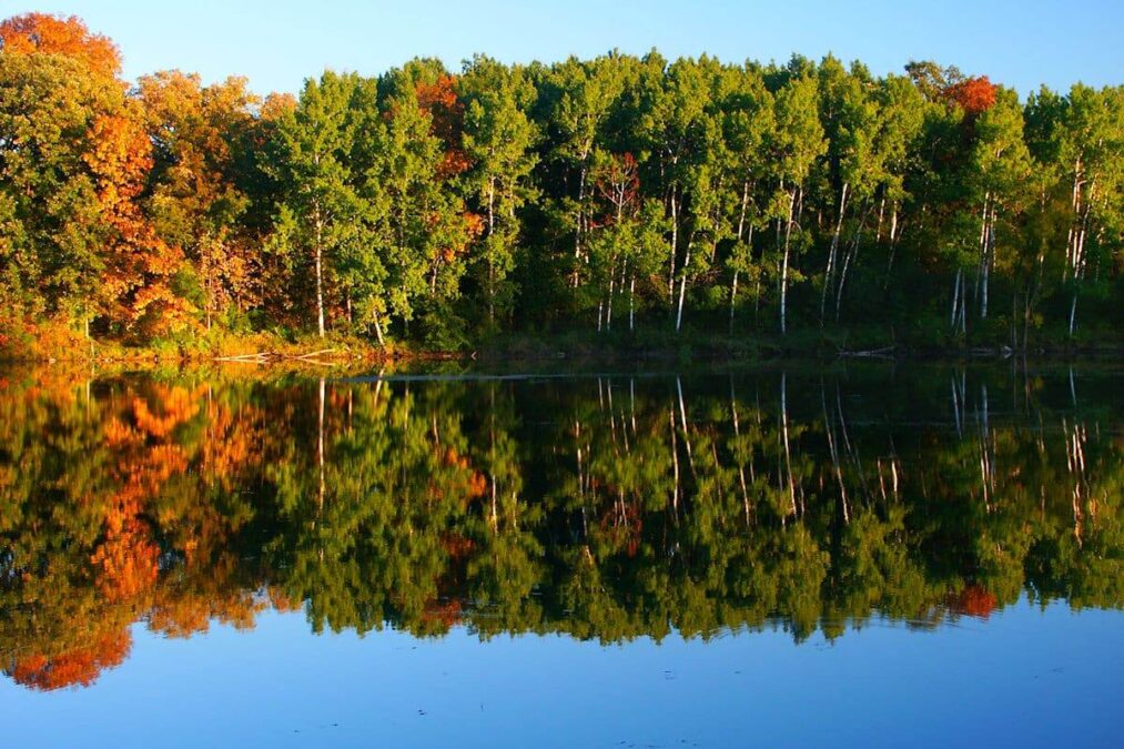 colorful fall trees reflected on the water in a state park near oshkosh wisconsin