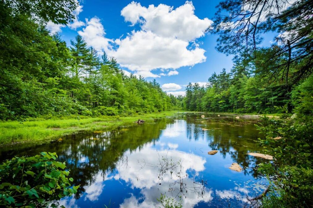 clouds reflected in a tree-lined pond at a state park near portsmouth new hampshire