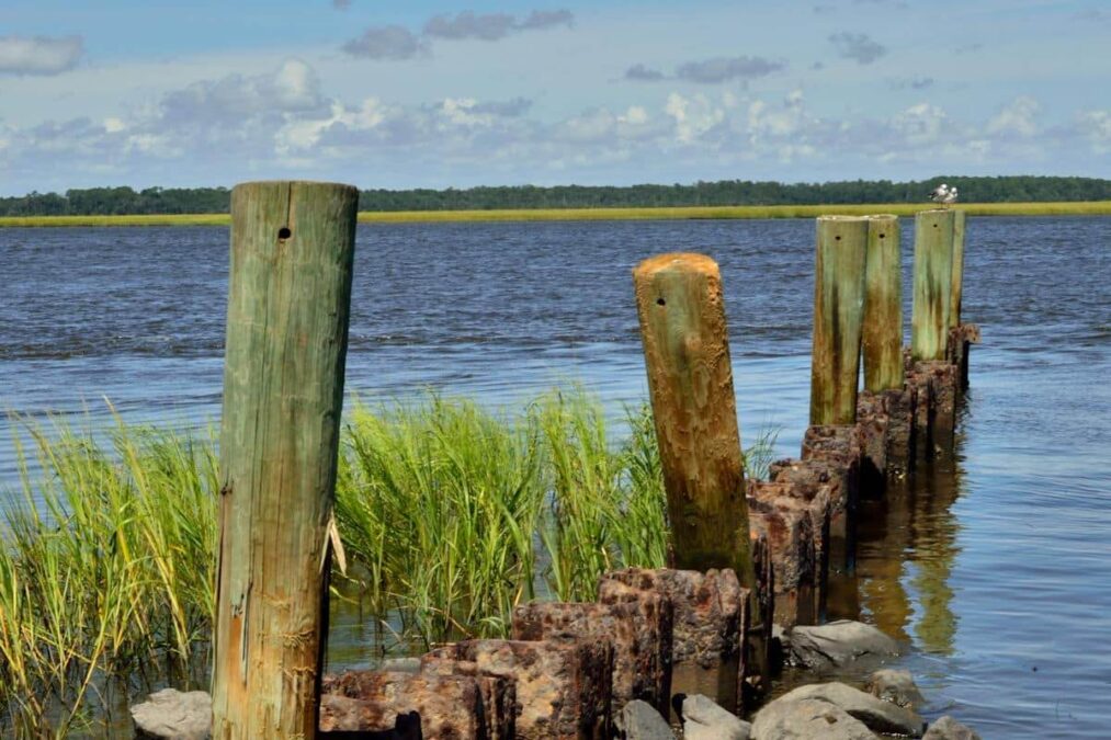 5 State Parks Near Savannah, Georgia 1 pier posts in the water at a state park near savannah georgia