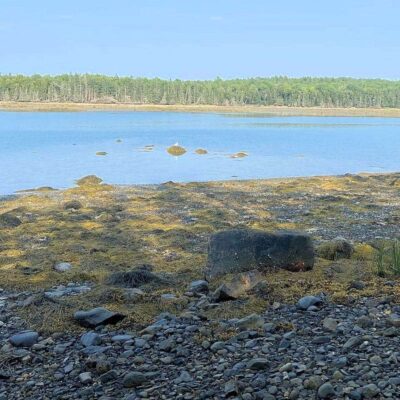 Warren Island State Park
