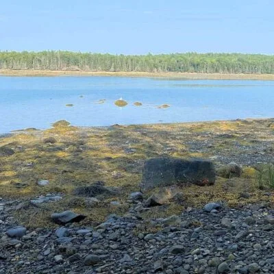 Warren Island State Park