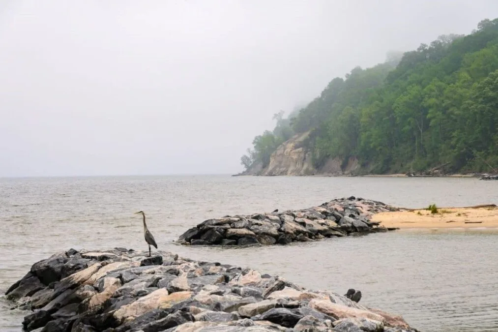 view of Westmoreland State Park from the Potomac River