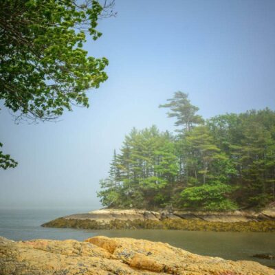 Wolfe’s Neck Woods State Park