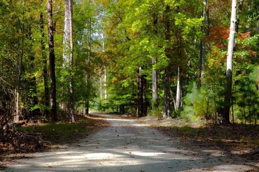 Gravel road walk through the forest at a state park near Richmond Virginia