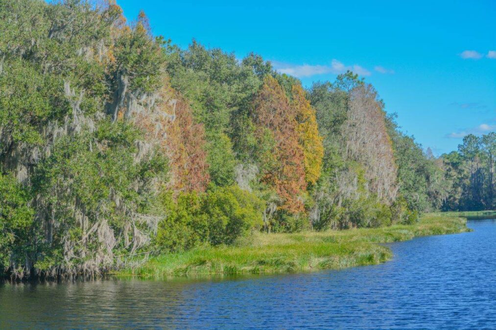 The beautiful tree lined Hurrah Lake in Alafia River State Park