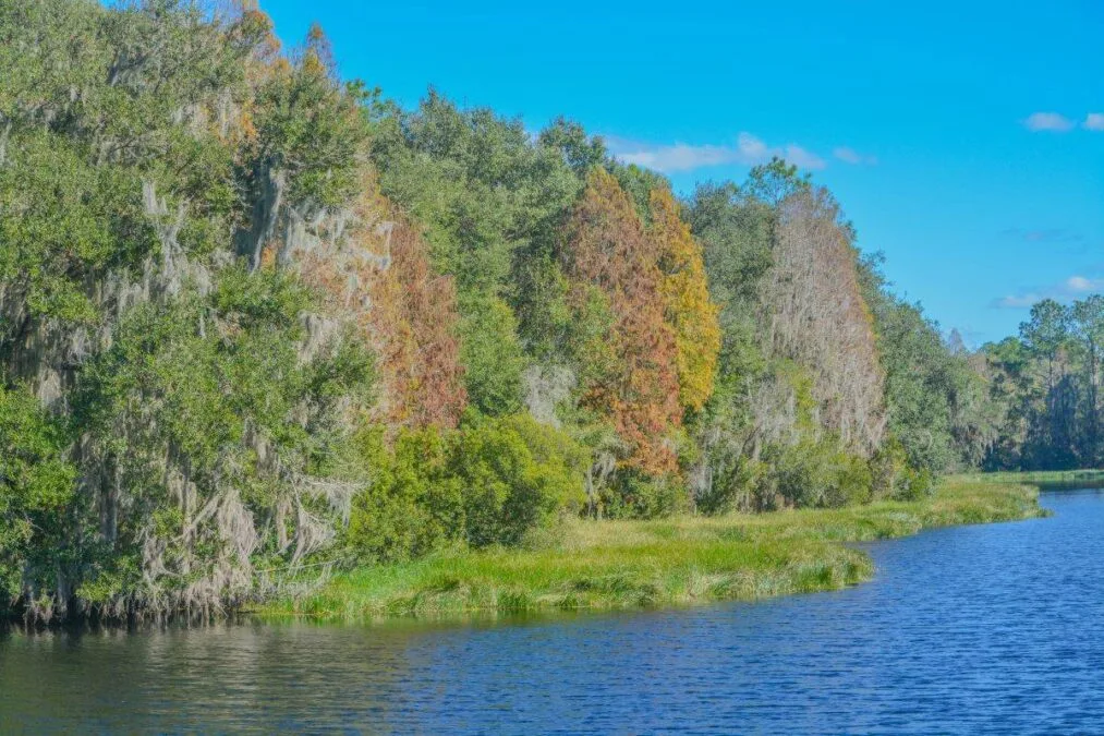 The beautiful tree lined Hurrah Lake in Alafia River State Park