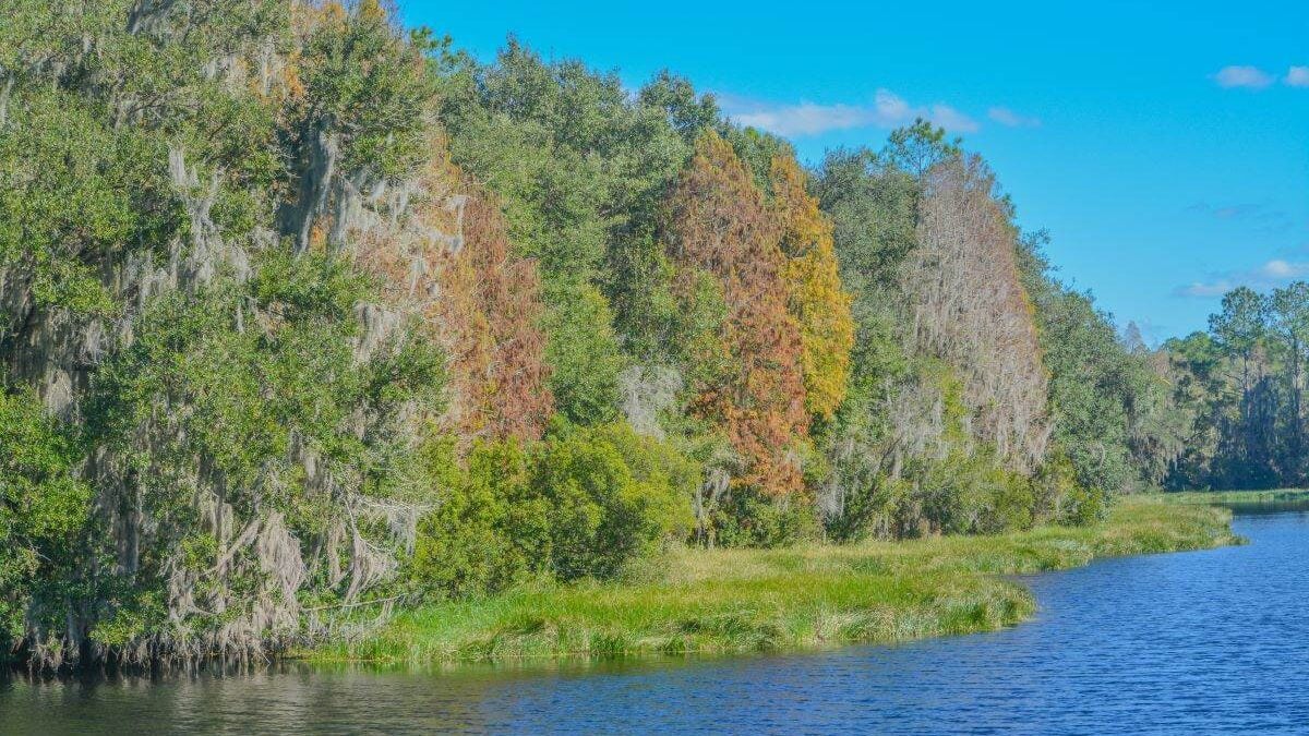 The beautiful tree lined Hurrah Lake in Alafia River State Park