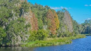 Alafia River State Park