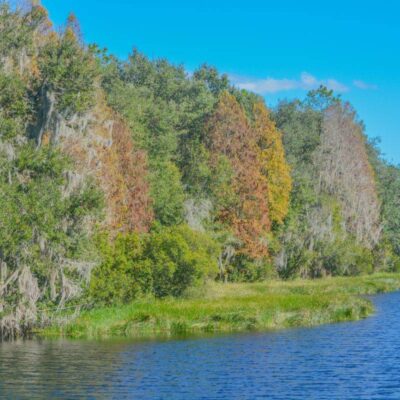 Alafia River State Park