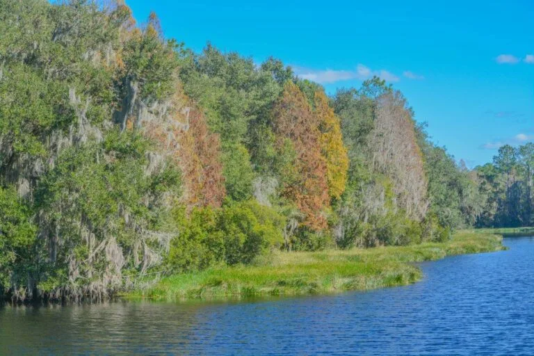 Alafia River State Park